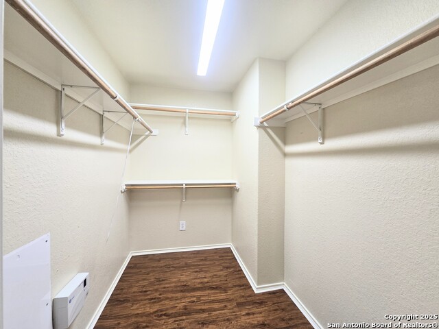 Image 11 of 23 For 12239 Painted Daisy