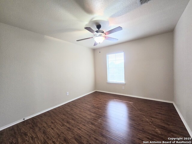 Image 14 of 23 For 12239 Painted Daisy