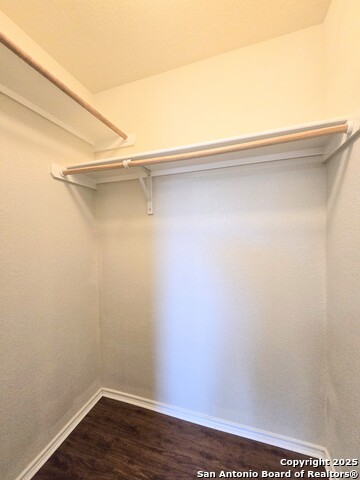 Image 15 of 23 For 12239 Painted Daisy