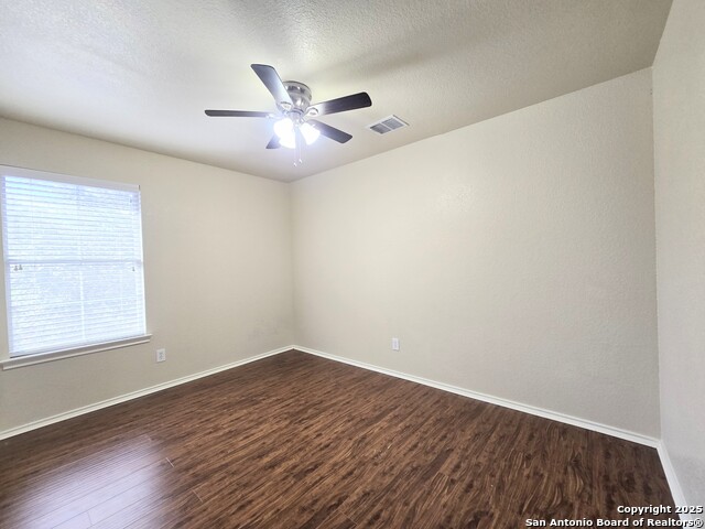 Image 17 of 23 For 12239 Painted Daisy