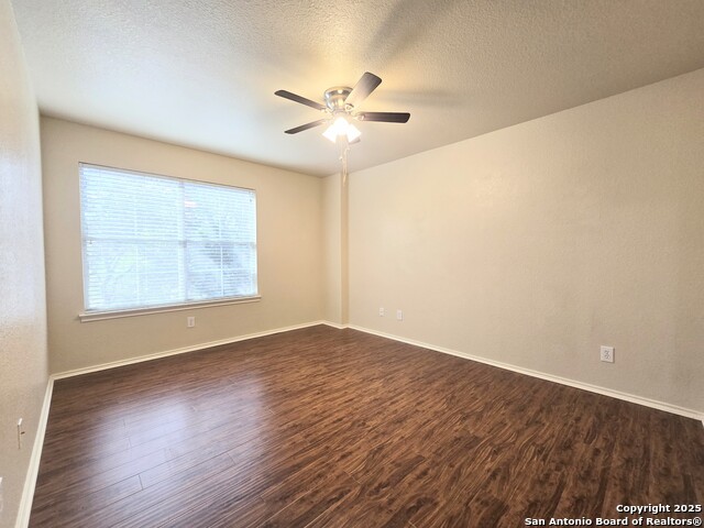 Image 18 of 23 For 12239 Painted Daisy