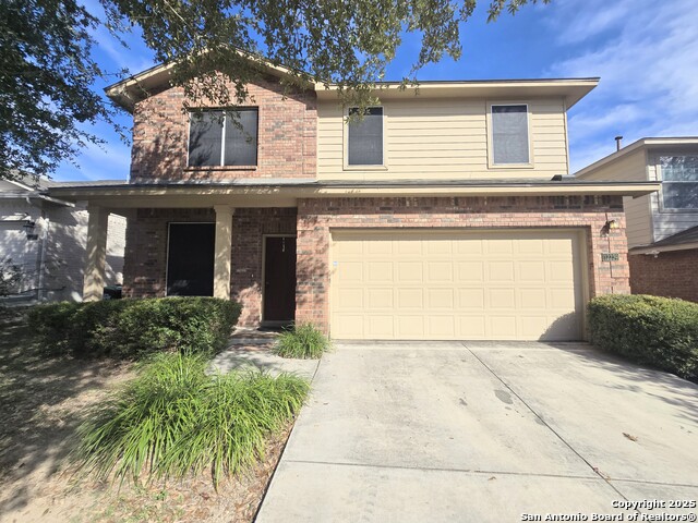 Image 2 of 23 For 12239 Painted Daisy