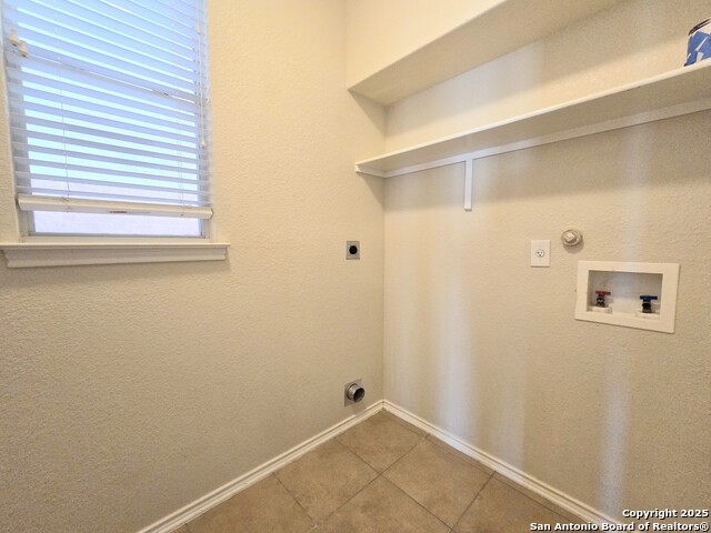 Image 20 of 23 For 12239 Painted Daisy