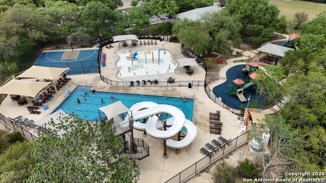 Image 22 of 23 For 12239 Painted Daisy