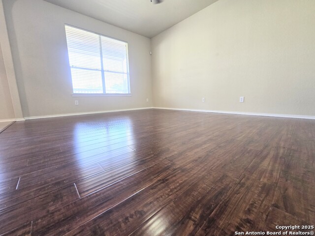 Image 5 of 23 For 12239 Painted Daisy