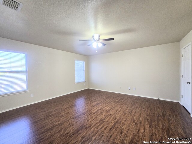 Image 8 of 23 For 12239 Painted Daisy