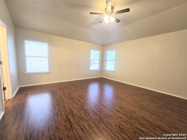 Image 9 of 23 For 12239 Painted Daisy