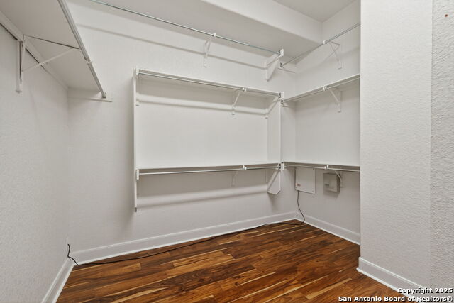 Image 14 of 37 For 13027 Walking Horse