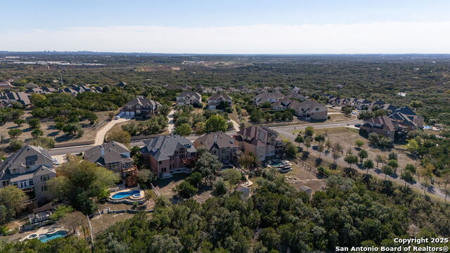 Image 35 of 37 For 13027 Walking Horse