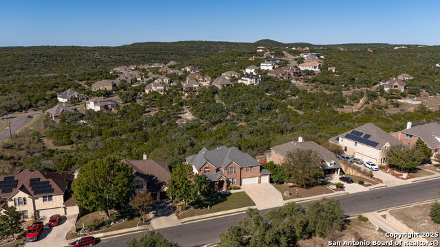 Image 37 of 37 For 13027 Walking Horse