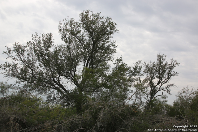 Image 9 of 36 For Tbd #1 County Road 651
