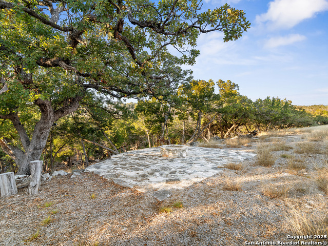 Image 18 of 23 For Lot 41 Avila Ridge