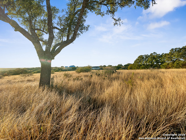 Image 21 of 23 For Lot 41 Avila Ridge