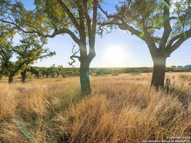 Image 23 of 23 For Lot 41 Avila Ridge