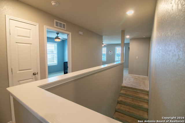 Listing photo id 21 for 10322 Lady Bird