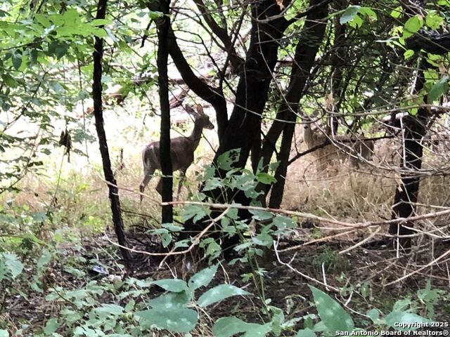 Image 40 of 40 For 630 Ira Lee