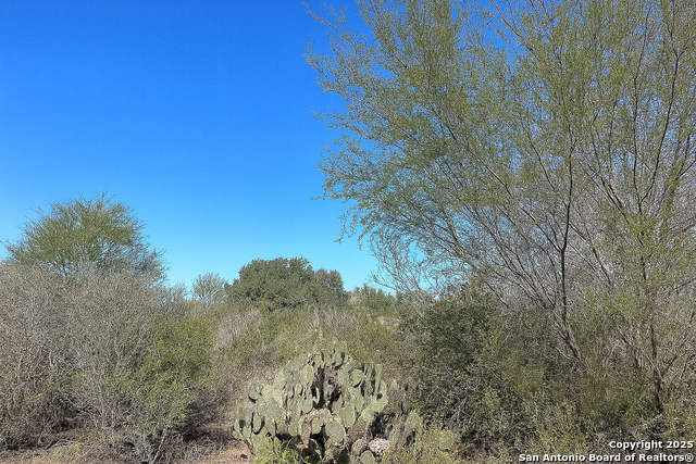 Details for 0 Cr 326  , Beeville, TX 78102