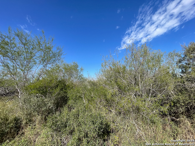 Image 2 of 9 For 0 Cr 326  