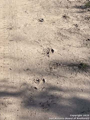 Image 4 of 9 For 0 Cr 326  