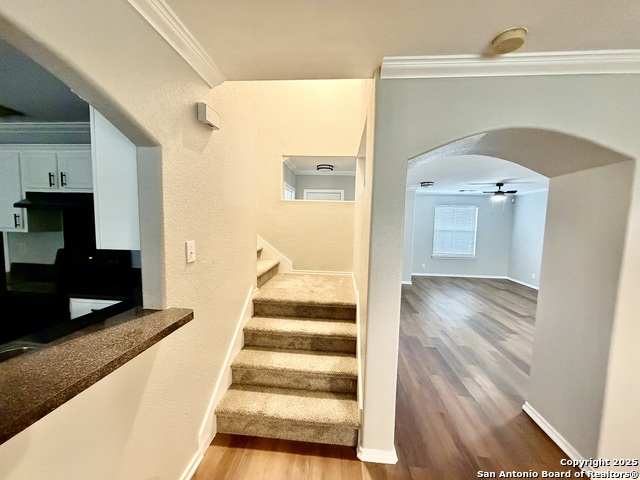 Image 17 of 49 For 13107 Camino Carlos