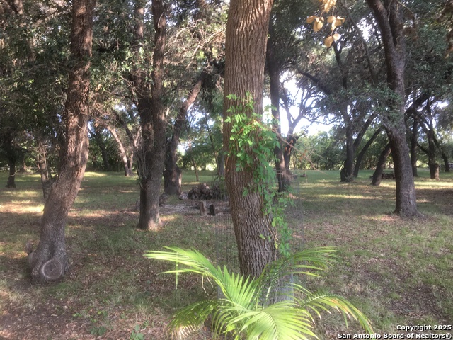 Image 29 of 84 For 1559 County Road 414