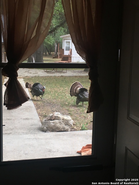 Image 32 of 84 For 1559 County Road 414