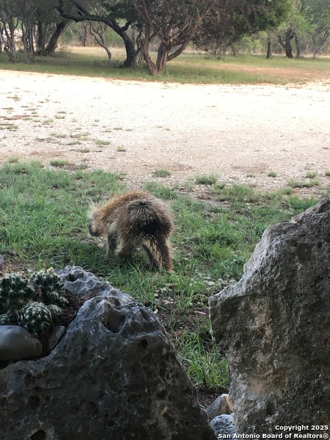 Image 33 of 84 For 1559 County Road 414