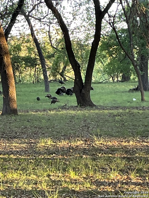 Image 35 of 84 For 1559 County Road 414