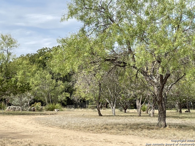 Image 36 of 84 For 1559 County Road 414