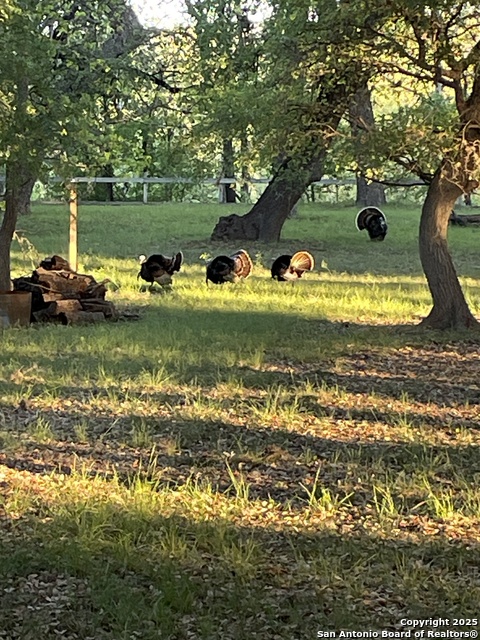 Image 37 of 84 For 1559 County Road 414