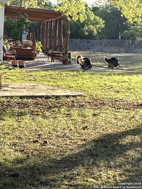 Image 38 of 84 For 1559 County Road 414