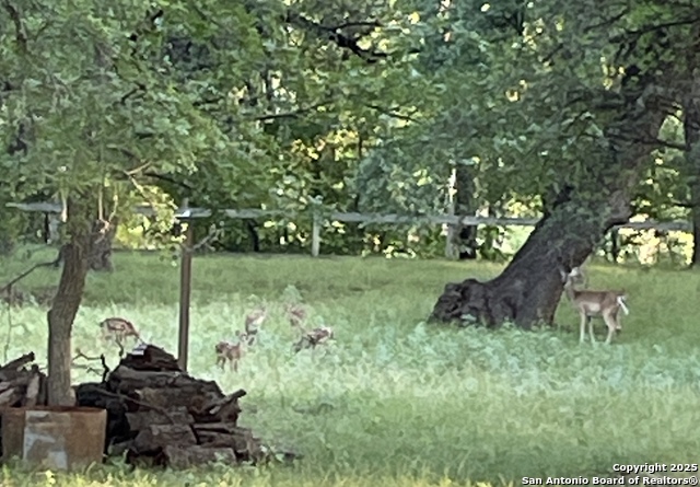 Image 39 of 84 For 1559 County Road 414