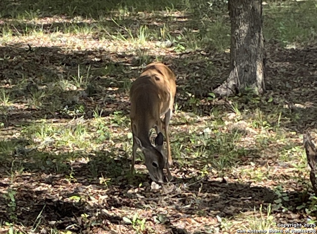 Image 41 of 84 For 1559 County Road 414