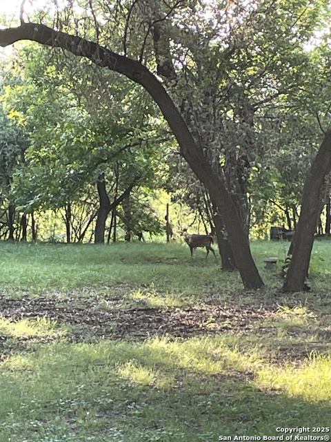 Image 43 of 84 For 1559 County Road 414