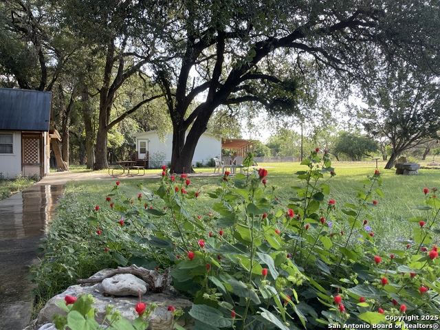 Image 44 of 84 For 1559 County Road 414