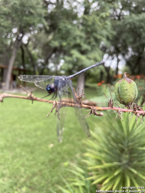 Image 45 of 84 For 1559 County Road 414