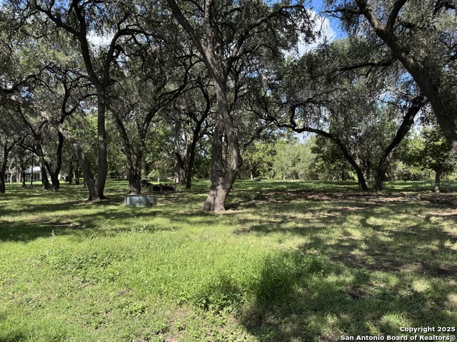 Image 46 of 84 For 1559 County Road 414