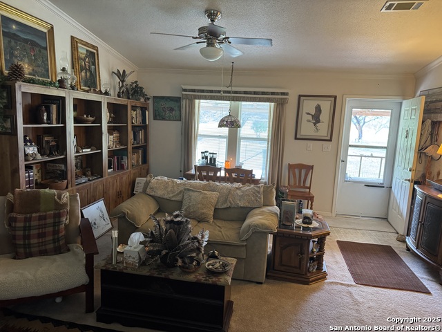 Image 5 of 84 For 1559 County Road 414