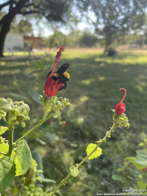 Image 59 of 84 For 1559 County Road 414