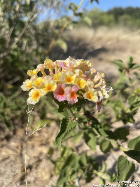 Image 60 of 84 For 1559 County Road 414