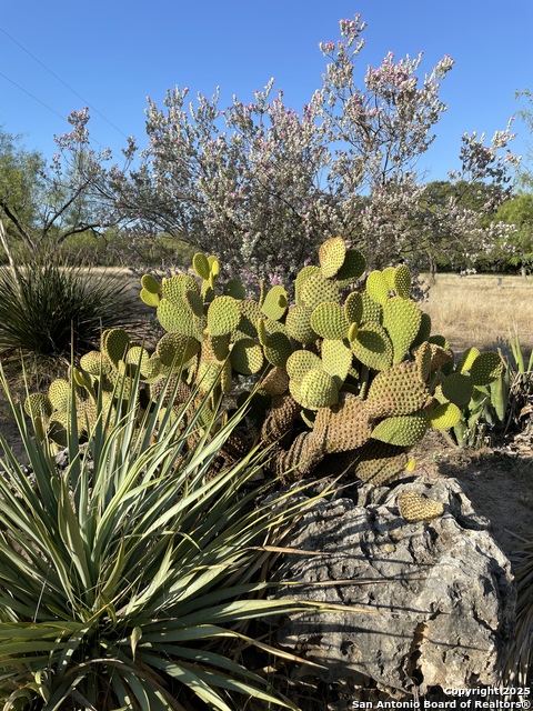 Image 61 of 84 For 1559 County Road 414