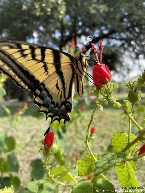 Image 62 of 84 For 1559 County Road 414