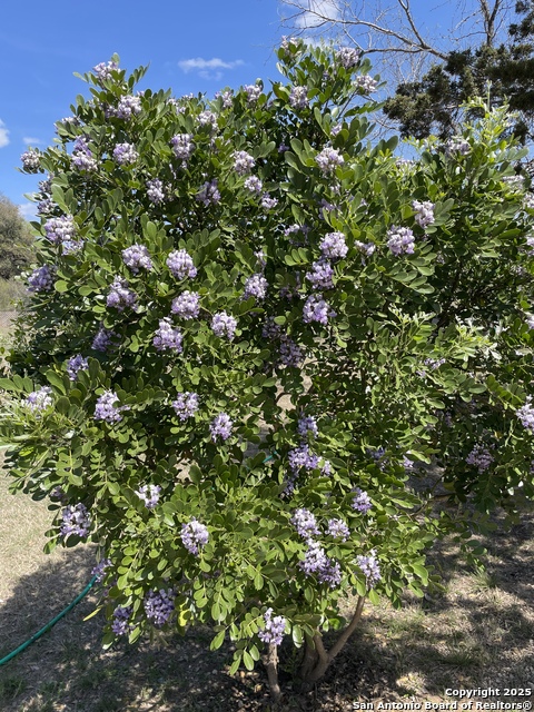Image 63 of 84 For 1559 County Road 414
