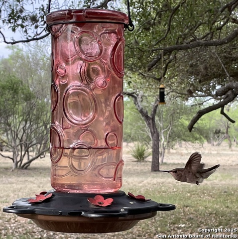 Image 64 of 84 For 1559 County Road 414