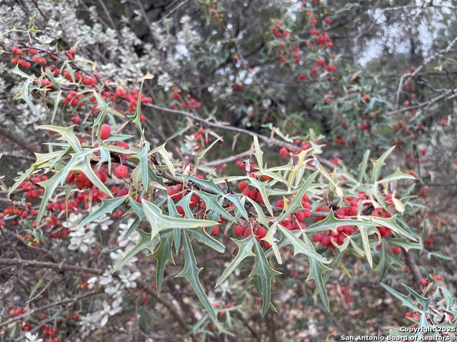 Image 65 of 84 For 1559 County Road 414