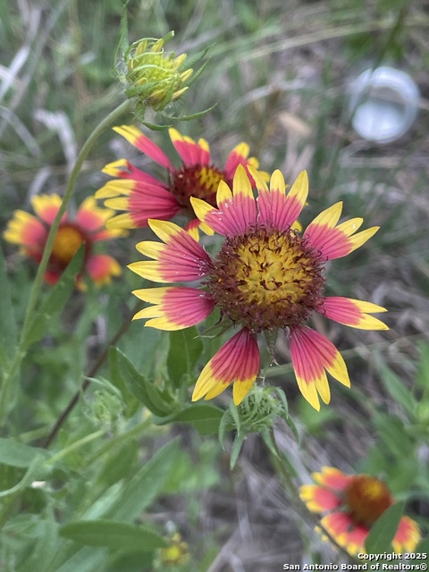 Image 67 of 84 For 1559 County Road 414