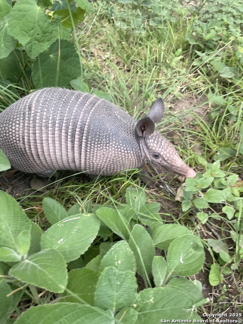 Image 71 of 84 For 1559 County Road 414