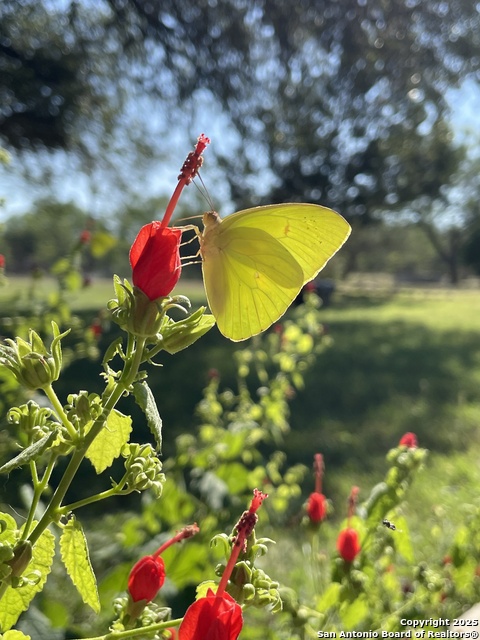 Image 72 of 84 For 1559 County Road 414