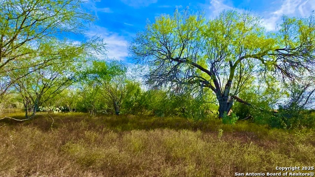 Details for 0 County Road 107, Runge, TX 78151