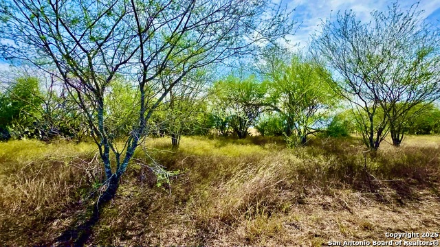 Listing photo id 9 for 0 County Road 107